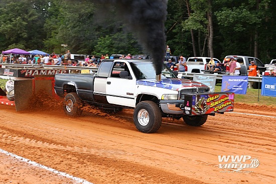 Amelia August 12 2023